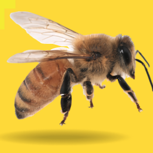 Dunedin Beekeepers Club